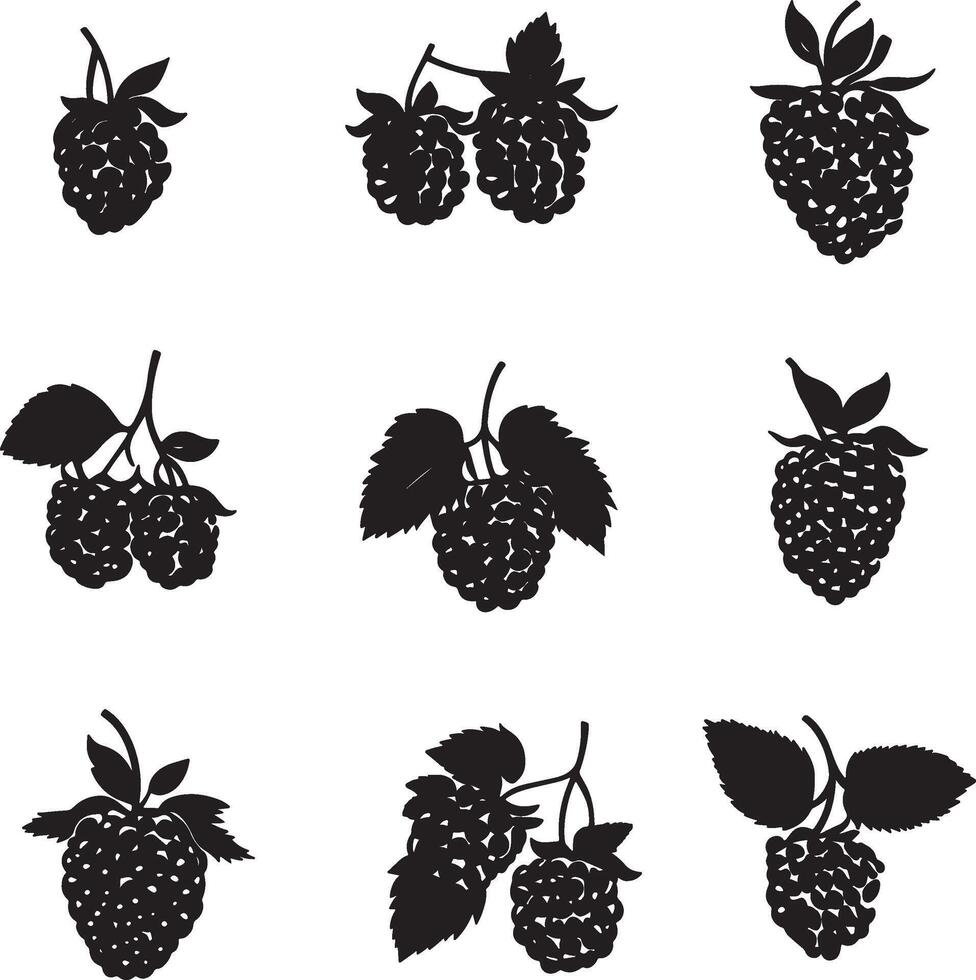 black raspberry silhouette set illustration vector