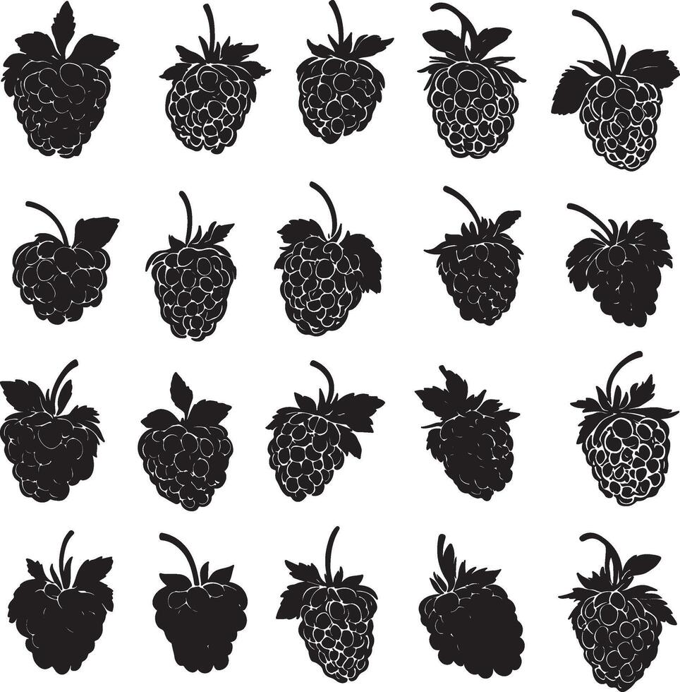 Black and white silhouettes depicting raspberries. vector