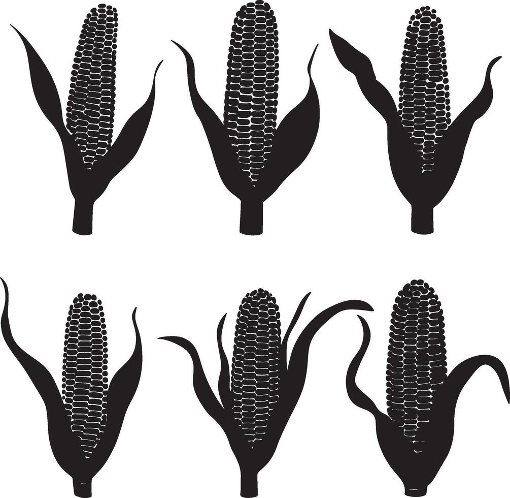 Assorted corn silhouettes illustrated as graphics. vector