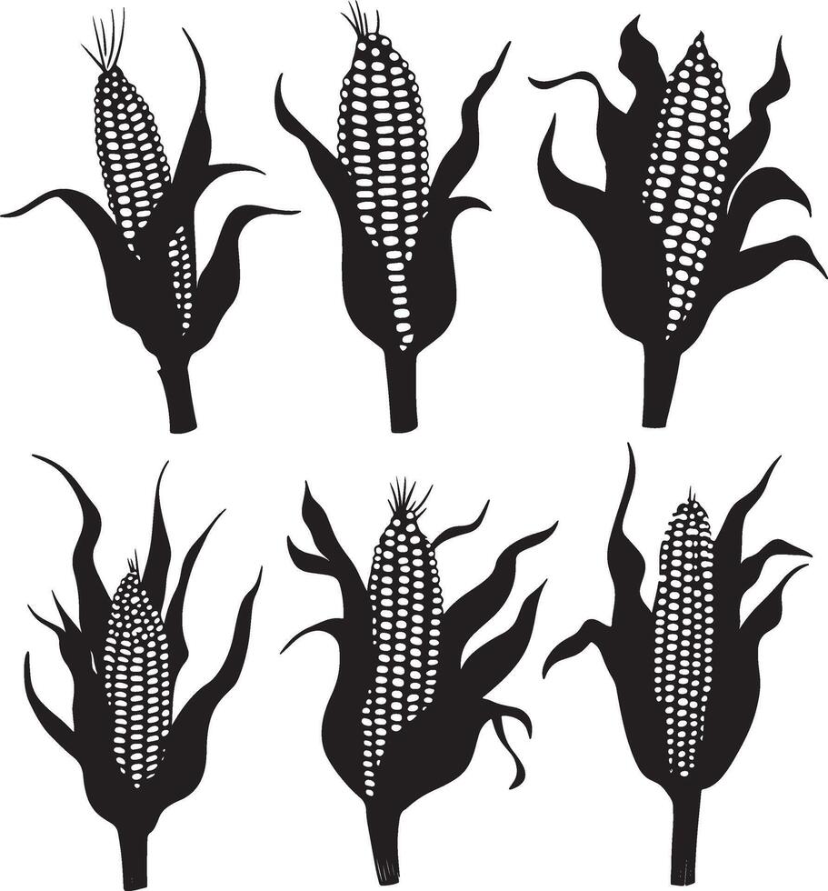 illustration set featuring corn silhouettes. vector