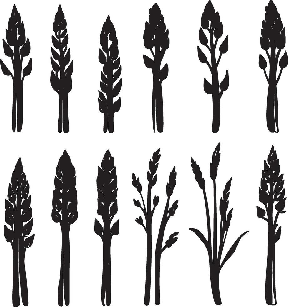 A collection of silhouettes featuring various plants. vector