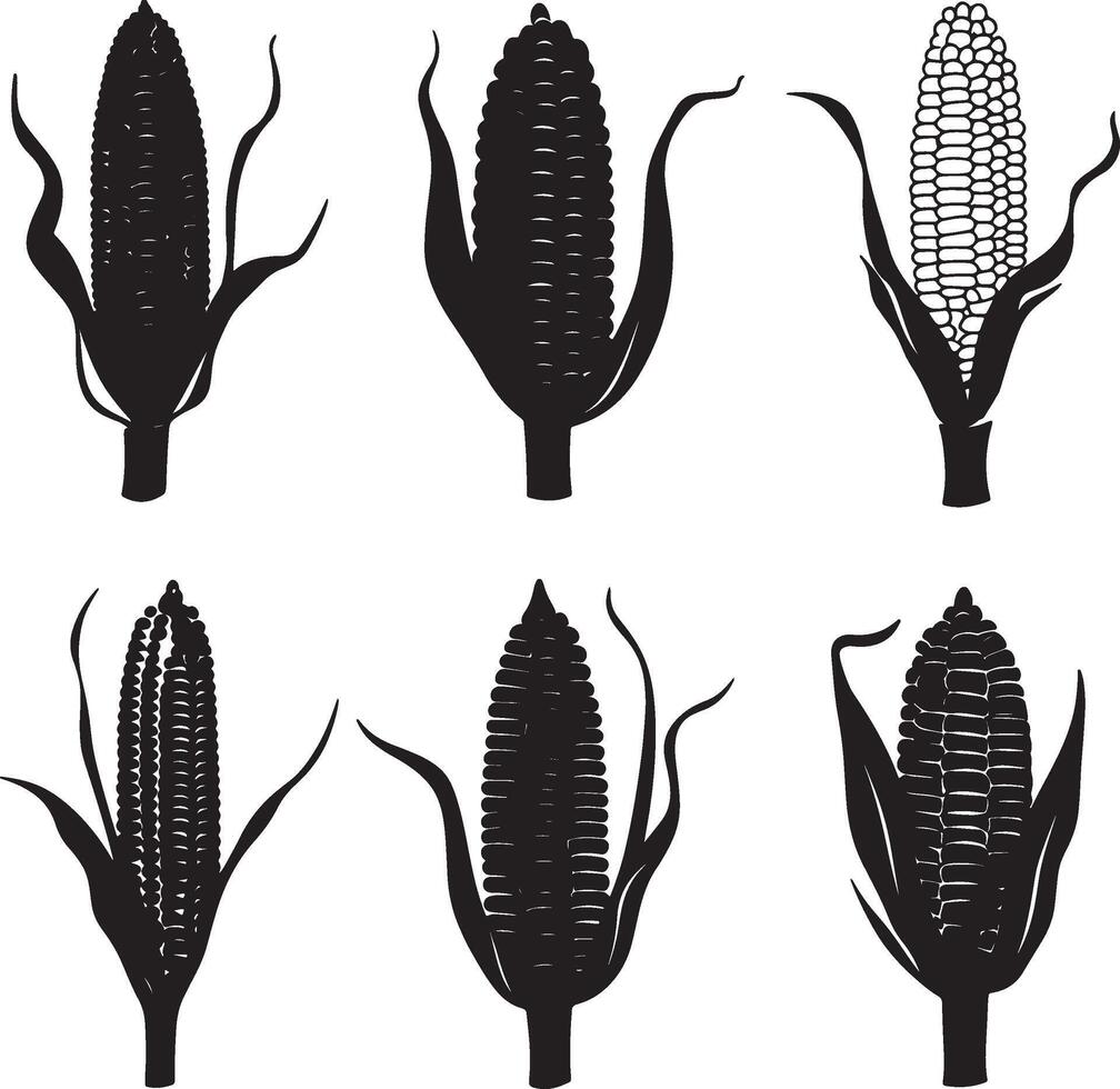 Silhouette collection featuring various types of corn. vector