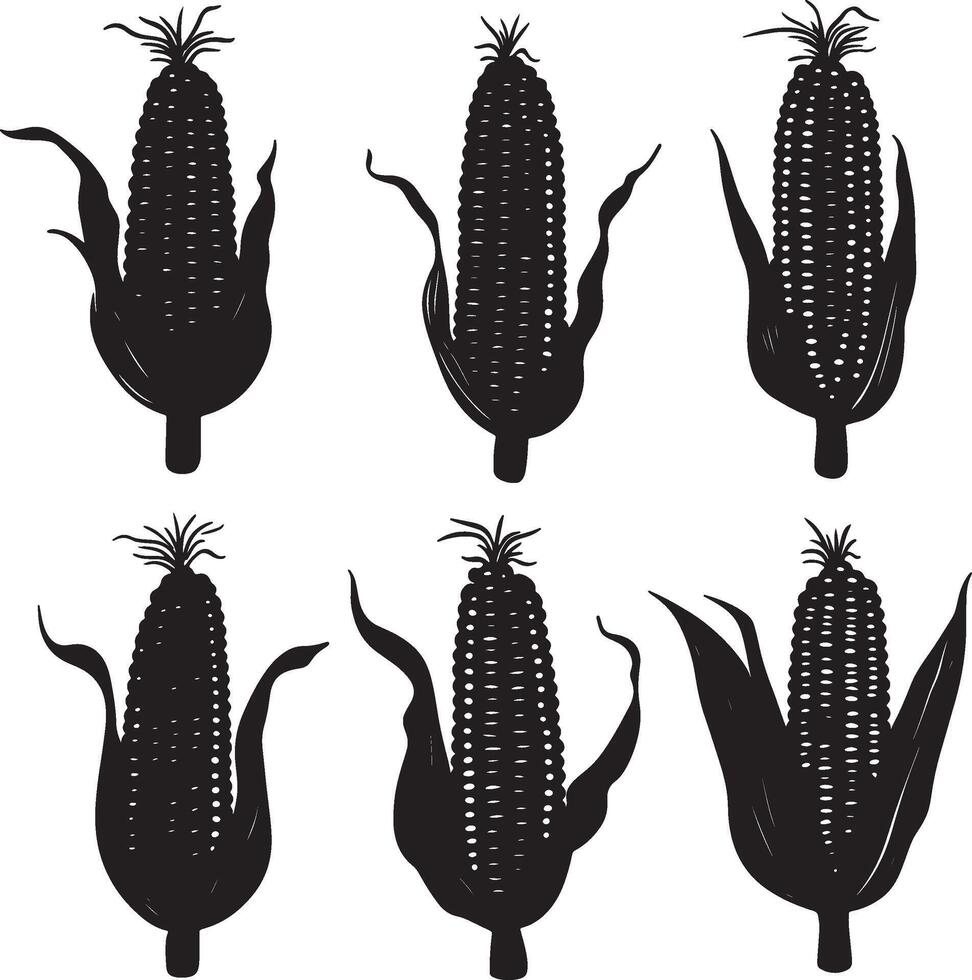 corn silhouette set illustration vector
