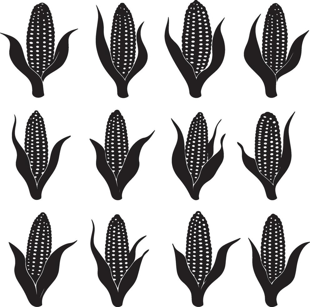 corn silhouette set of different types of corn vector