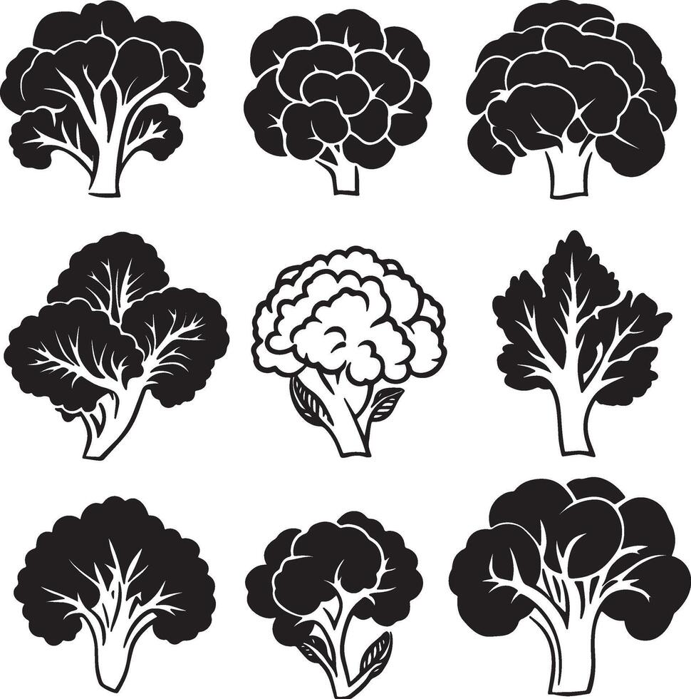 black and white broccoli icons set vector