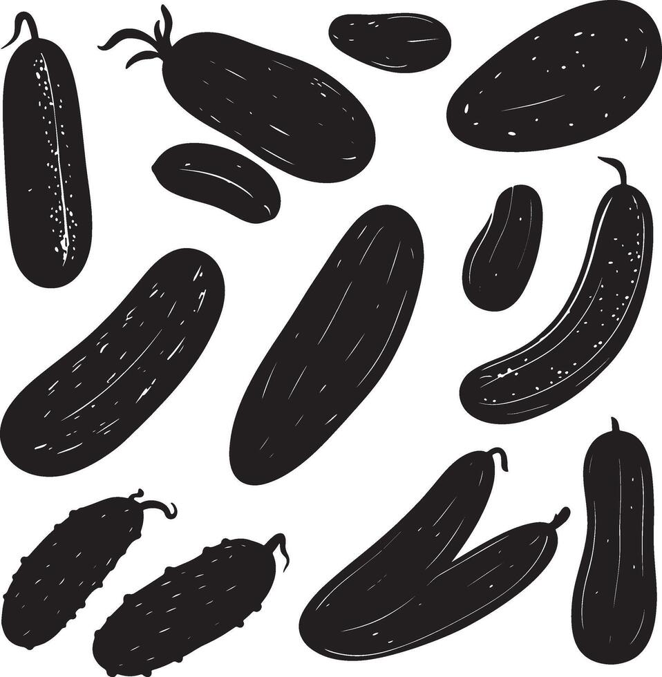 a set of different types of cucumbers vector