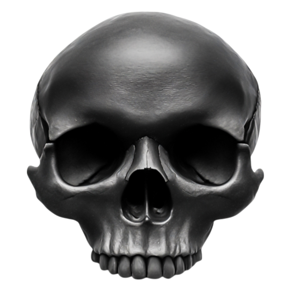 Realistic Black Skull Model with Detailed Texture and Shadows png