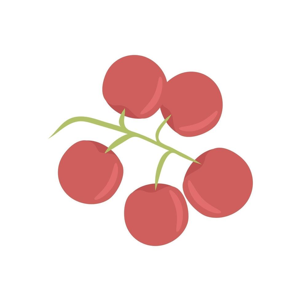 Branch of cherry tomatoes, autumn harvest. Illustration in flat style, isolated. vector