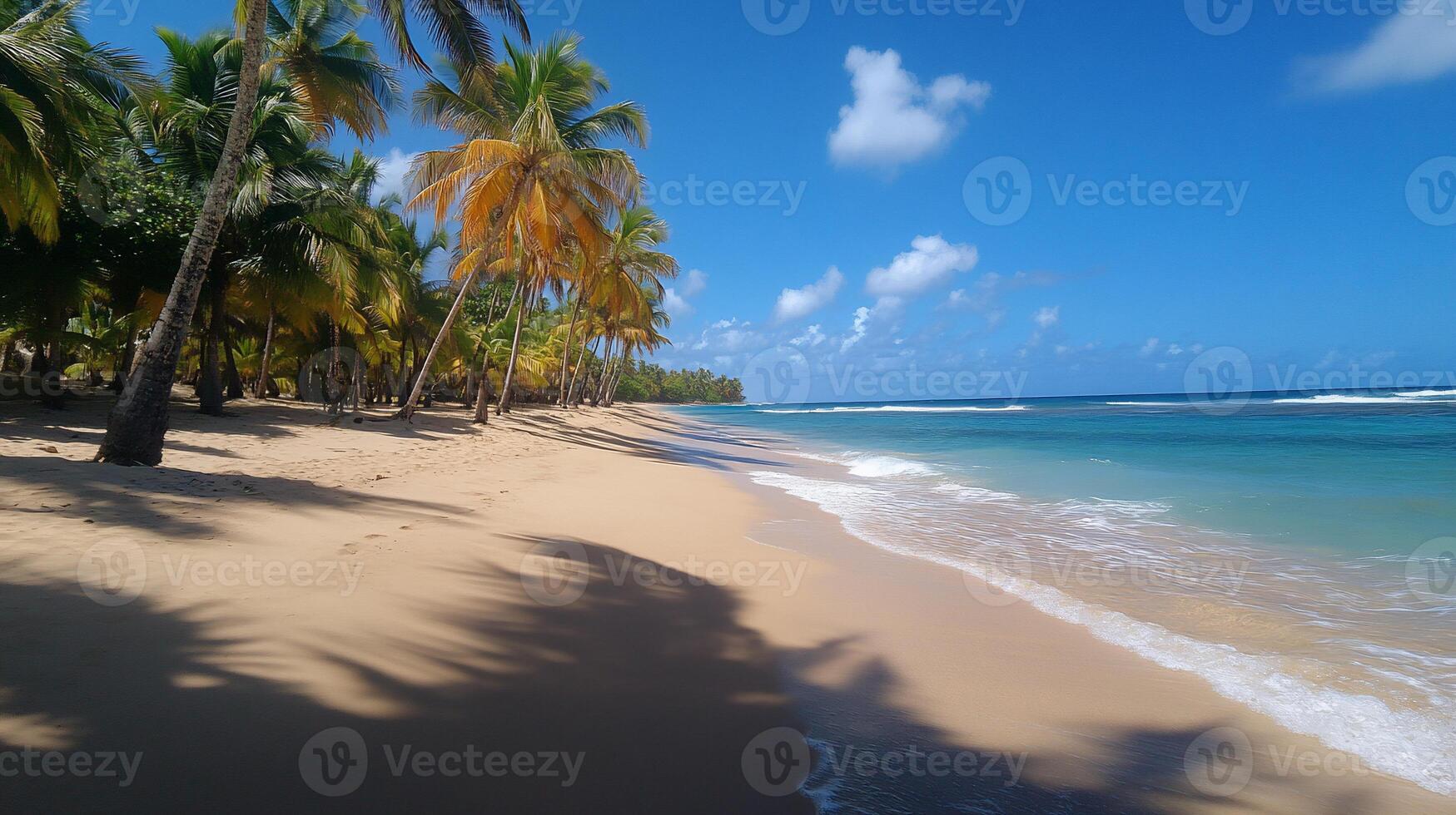 Tropical beach paradise, palm trees, clear water, sunny day, travel photo