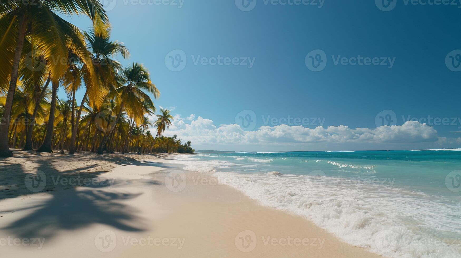 Tropical beach, palm trees, sun, ocean, vacation, relaxing, paradise photo