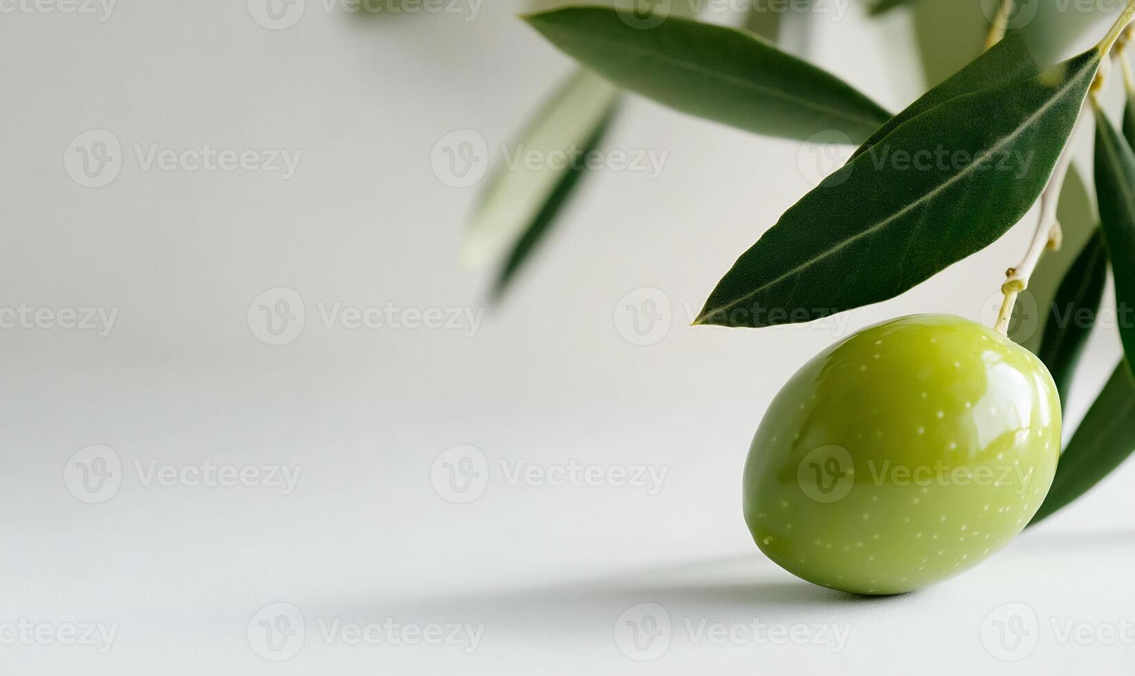 Fresh green olive on branch. photo