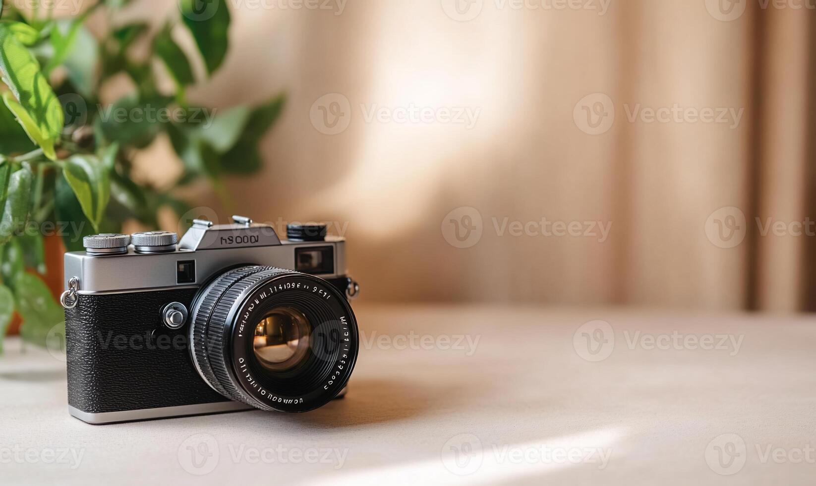 Vintage camera on table near plant. photo