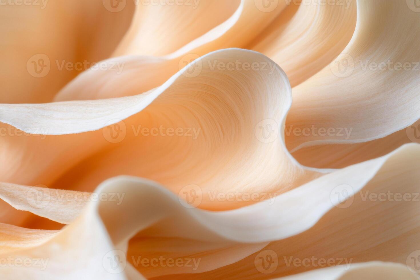 Abstract peach and white swirling waves texture. photo
