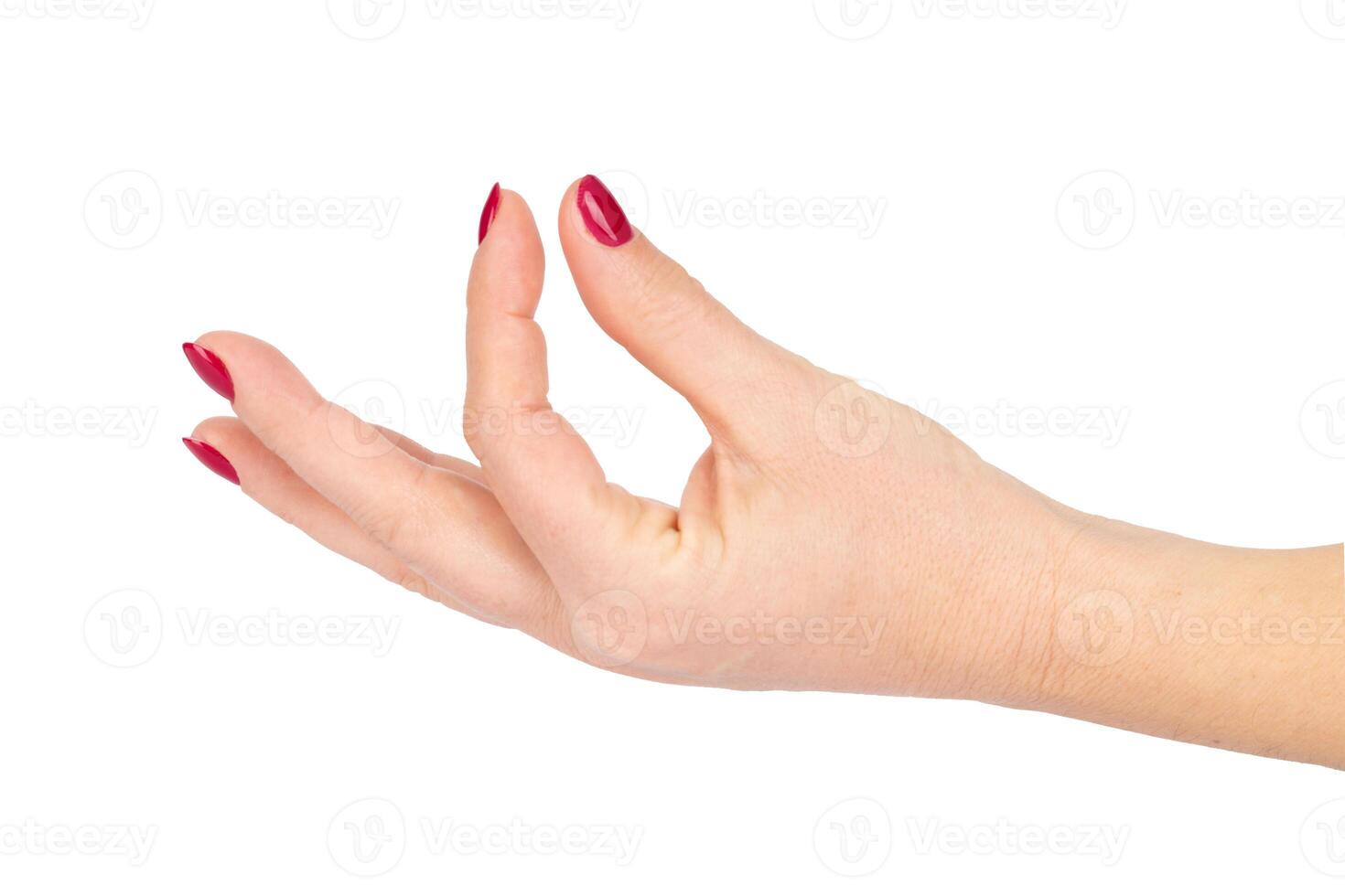 Female Hand with Red Manicure in Gentle Pinch Gesture on White Background photo
