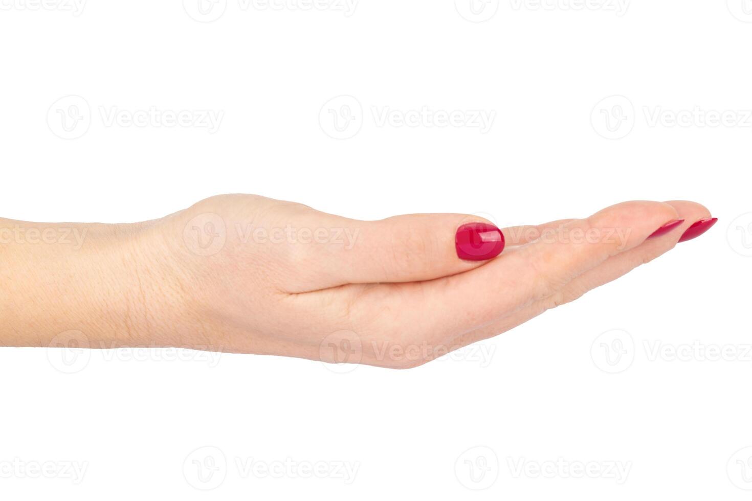 Female Hand with Red Manicure in Slightly Curved Offering Gesture on White Background photo