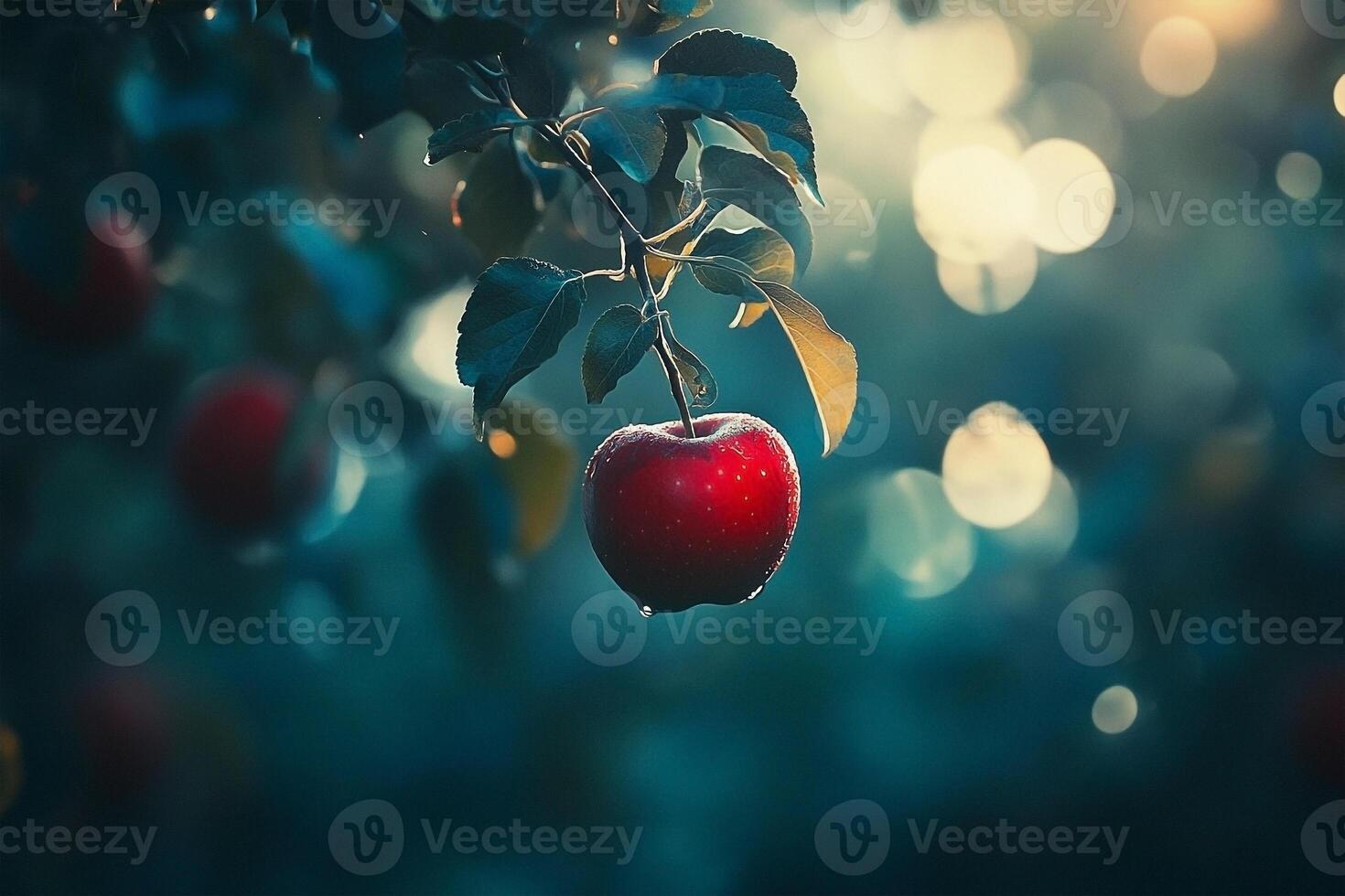 Red apple on tree with bokeh photo