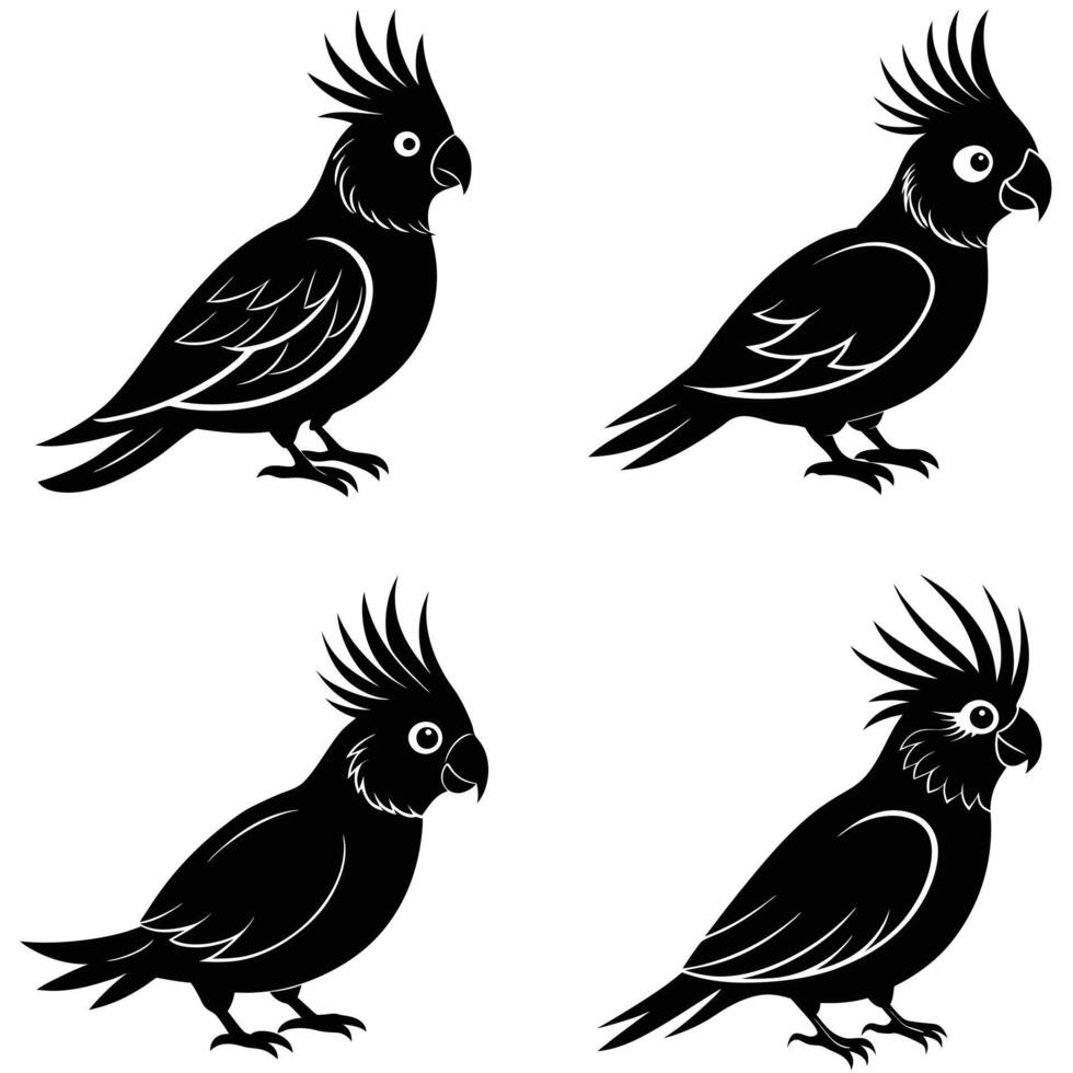 Four Silhouettes of Cockatoos vector