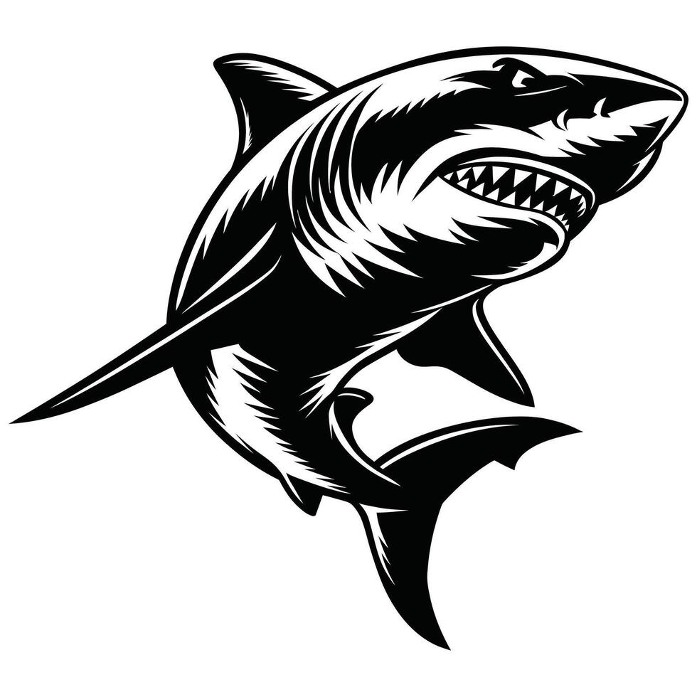 Bold Black and White Shark. vector
