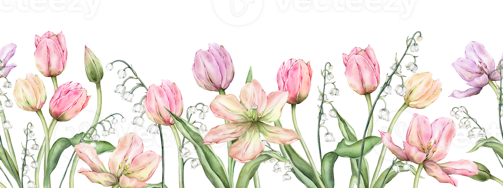 Seamless banner of light Pastel colors bud Tulips and lily of the valley. Watercolor illustration isolated on background. Hand drawn delicate spring flower for spring wedding design or border png