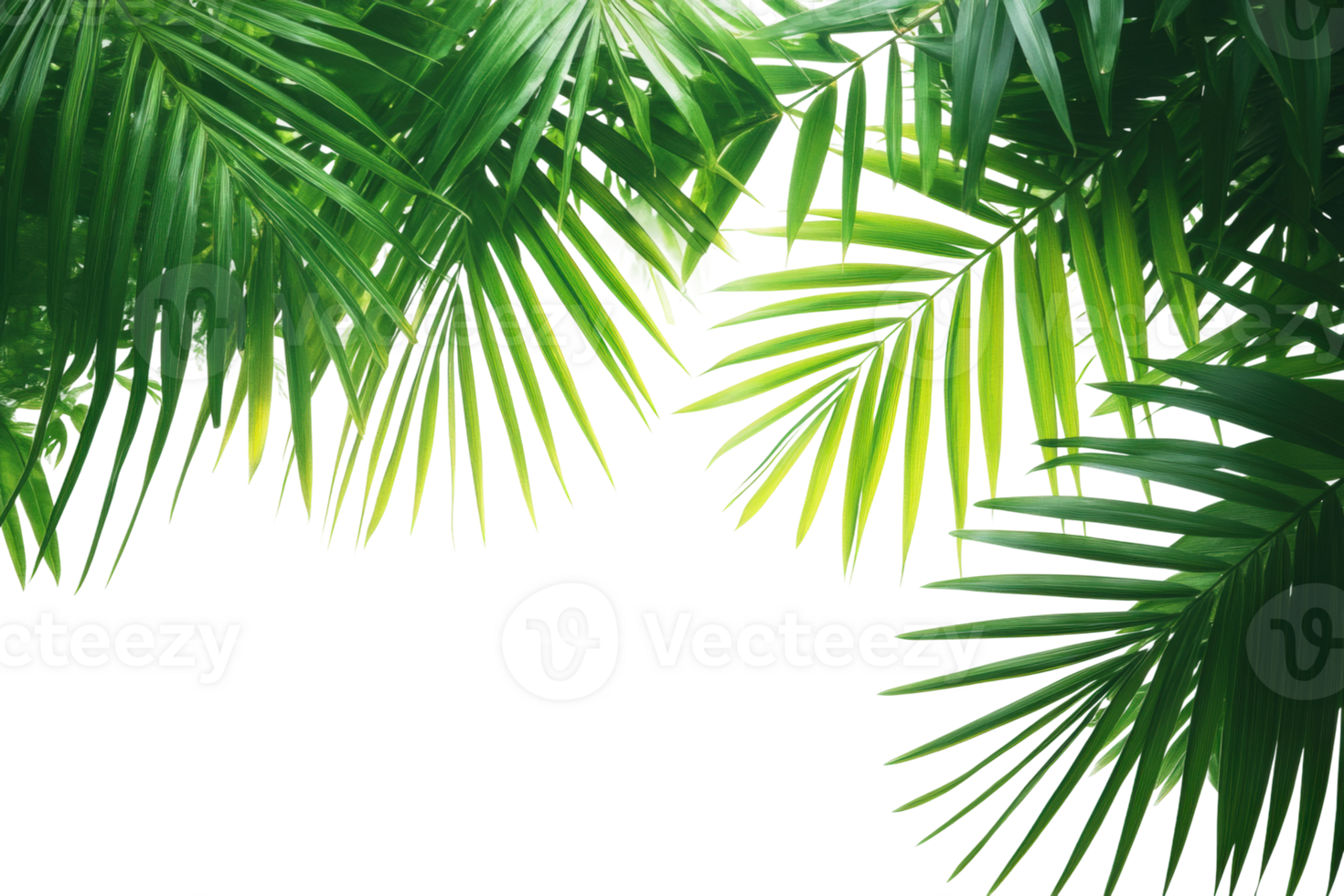 Vibrant green palm leaves tropical paradise nature bright png