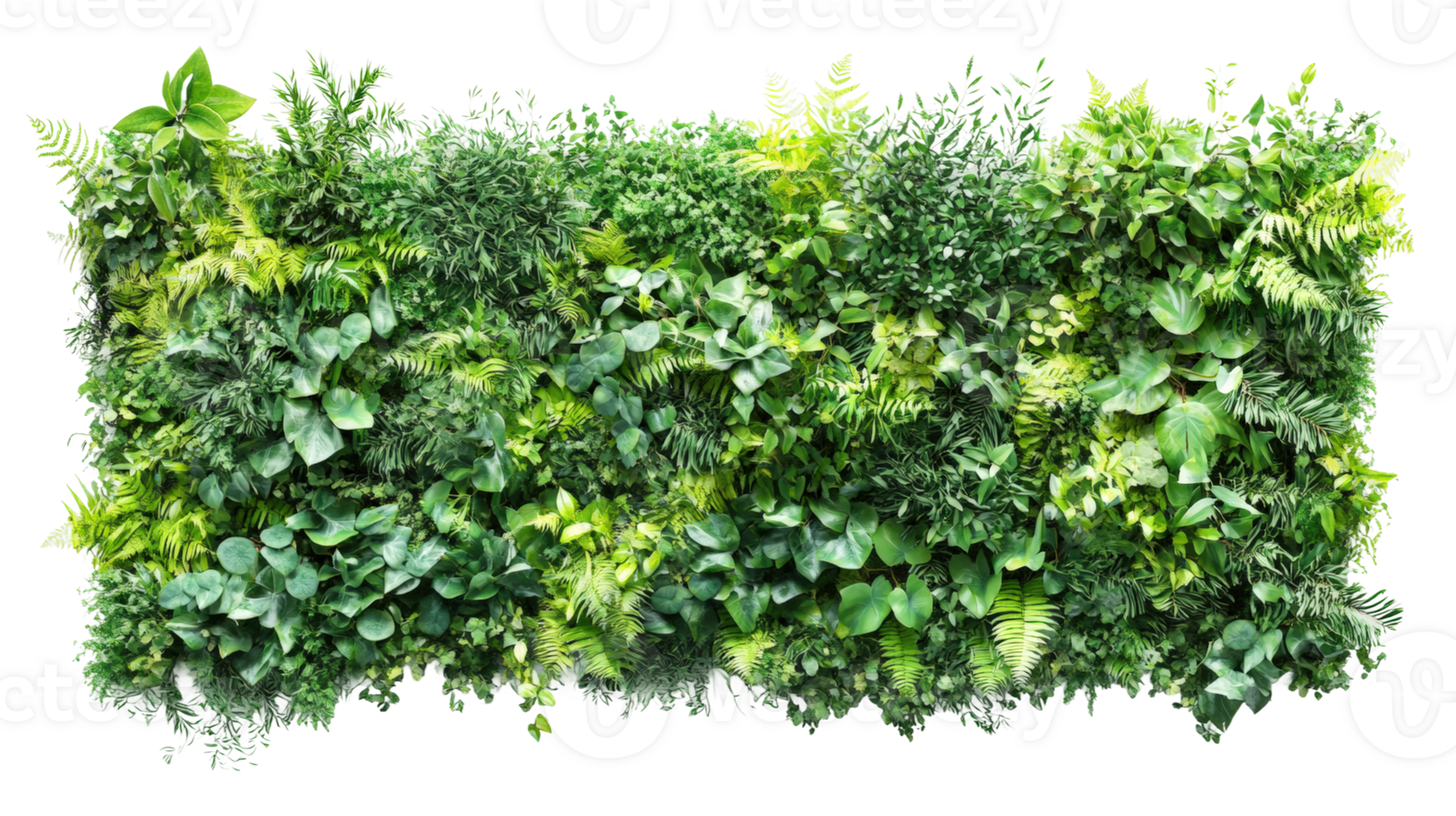 Lush green vegetation wall indoor garden nature bright space serenity png