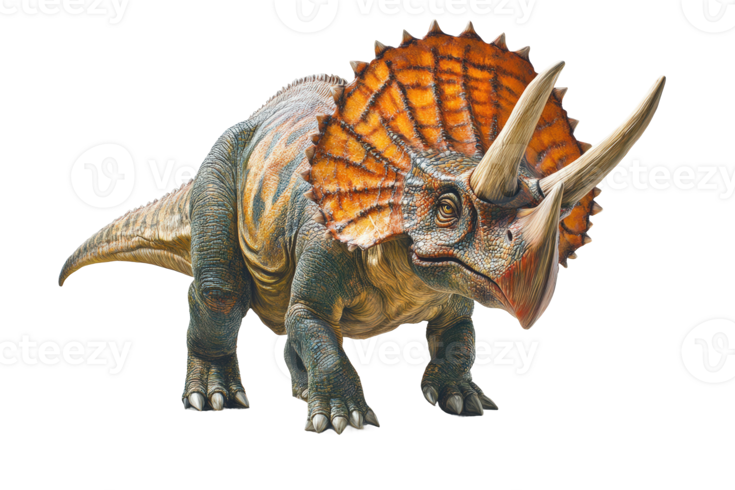 Classic portrayal of a Triceratops in dynamic pose on a white background png