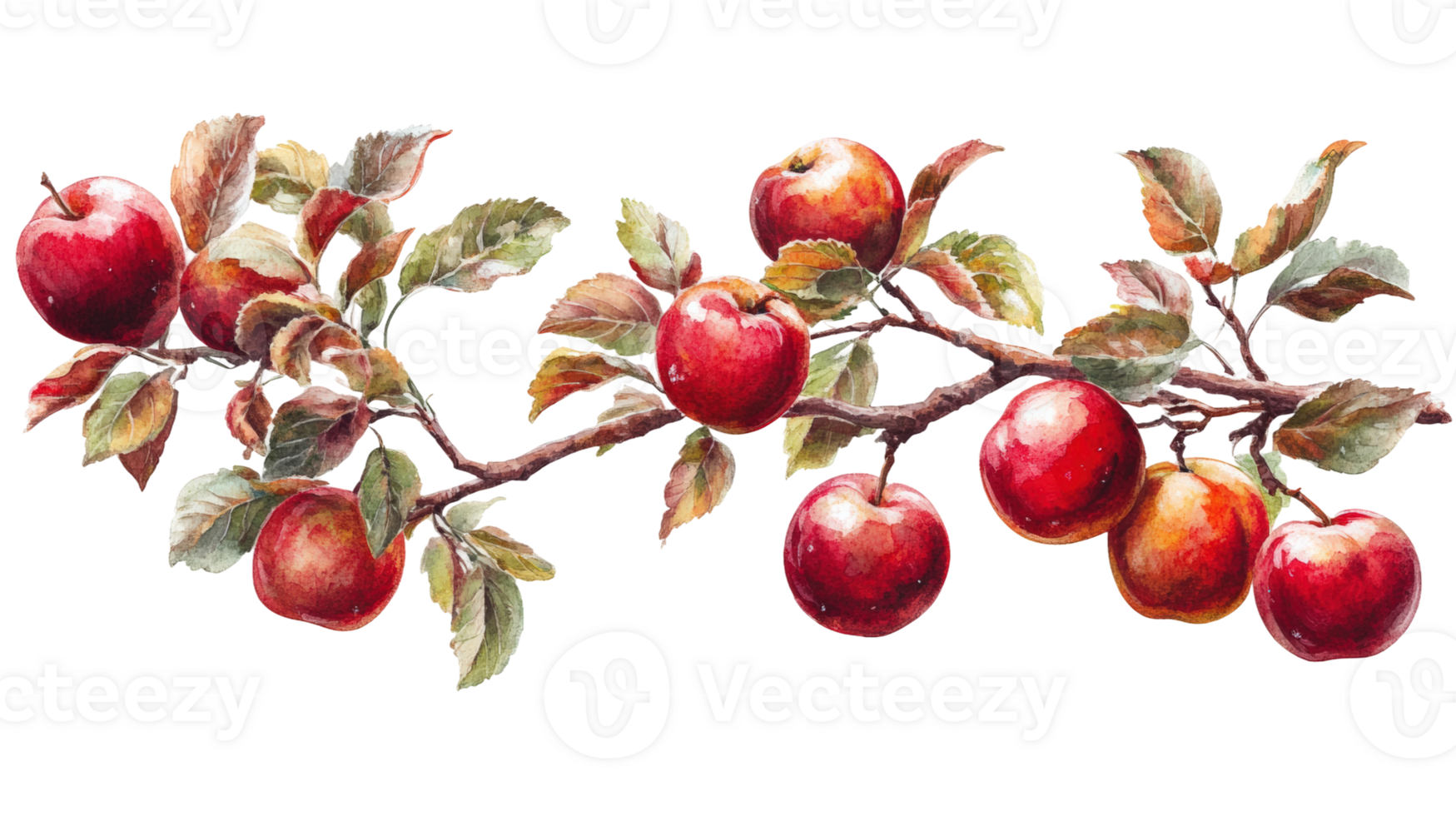 Harvesting red apples on a branch nature png