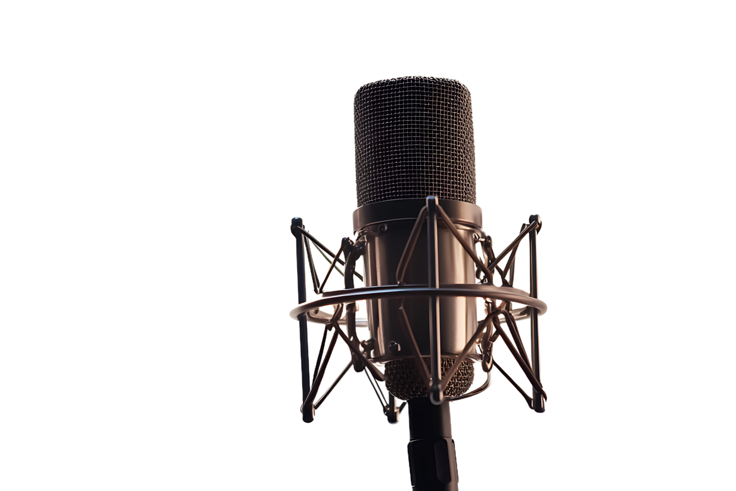 Close-up of Microphone with Shock Mount png