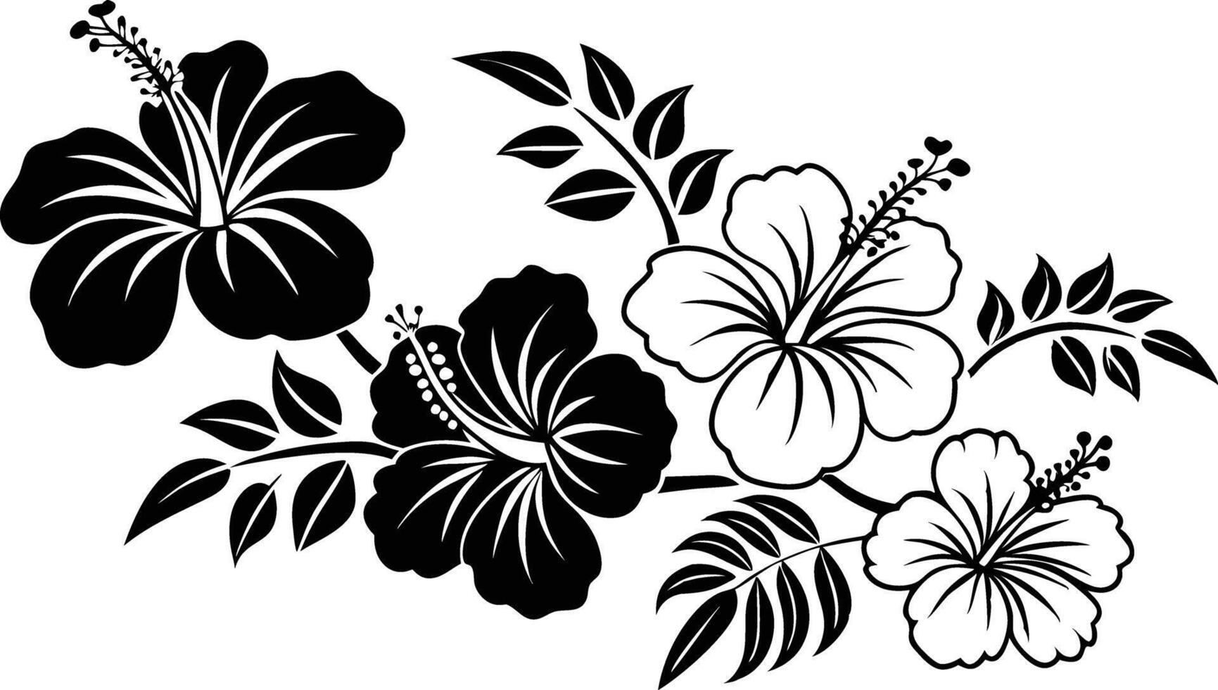 Elegant Black and White Hibiscus vector
