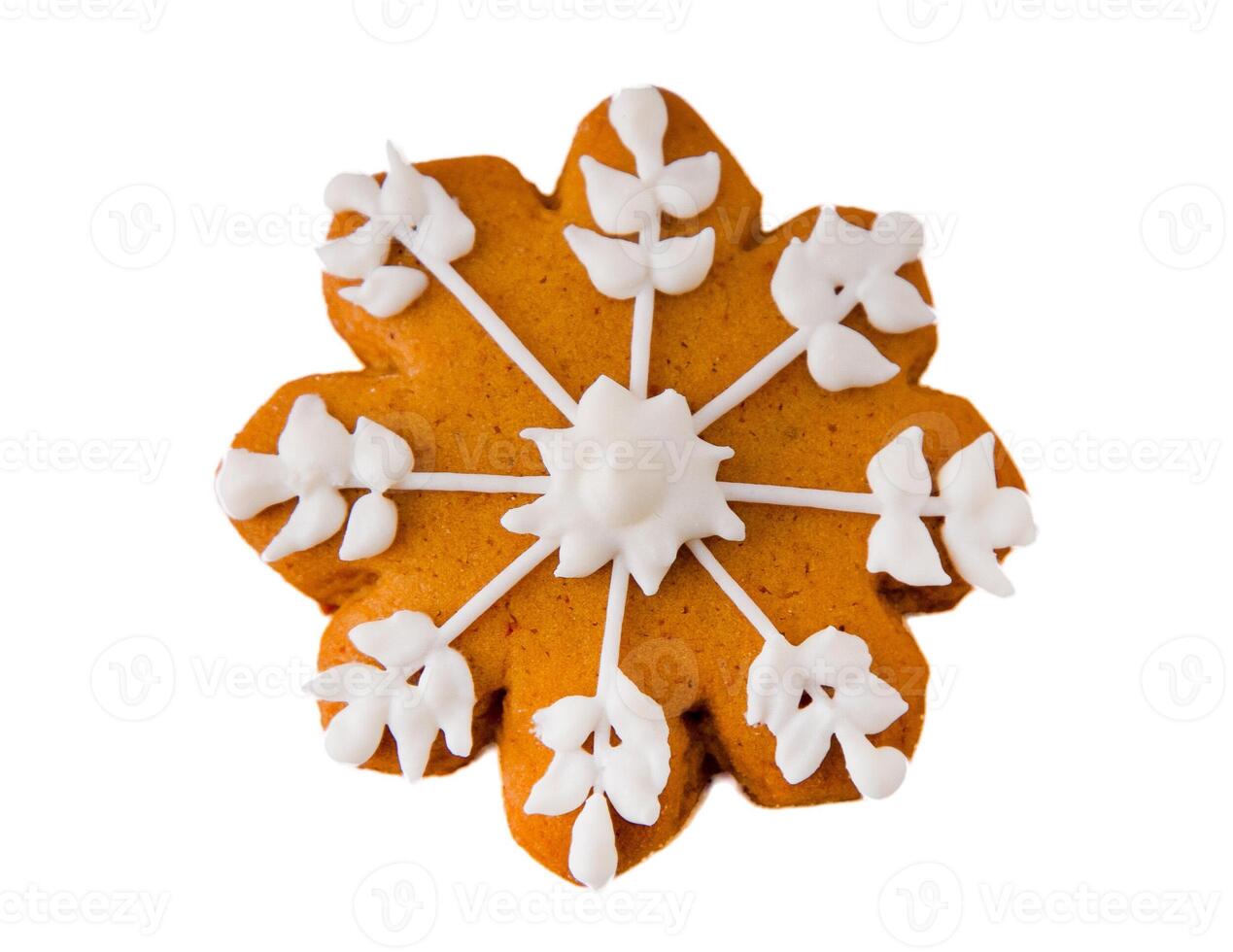 Snowflake Gingerbread Cookie isolated photo