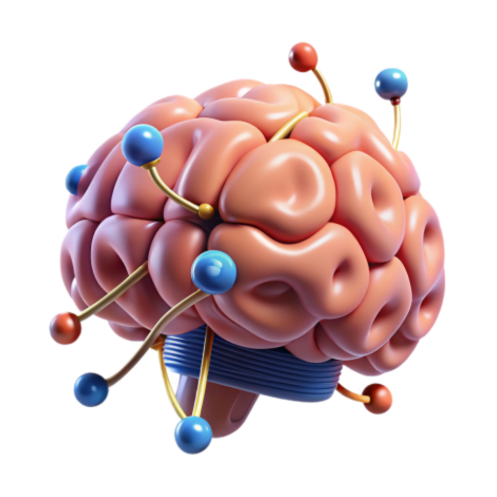 magnificent rustic Human Brain Neural Connections Cognitive Function exclusive png