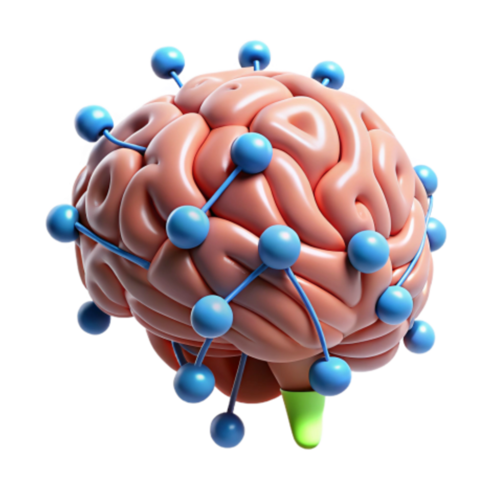 magnificent minimalist Brain Network Connections Cognitive Function genuine png