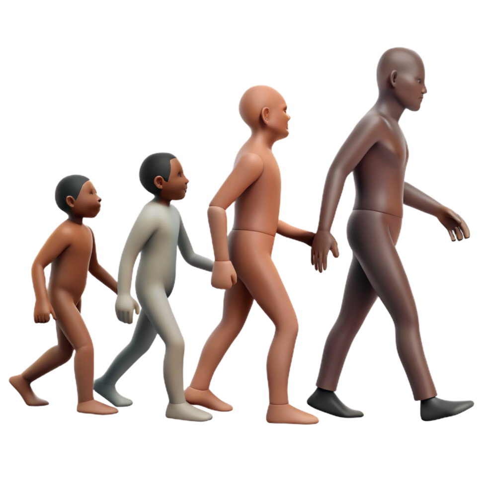 Human Evolution 3D Illustration png