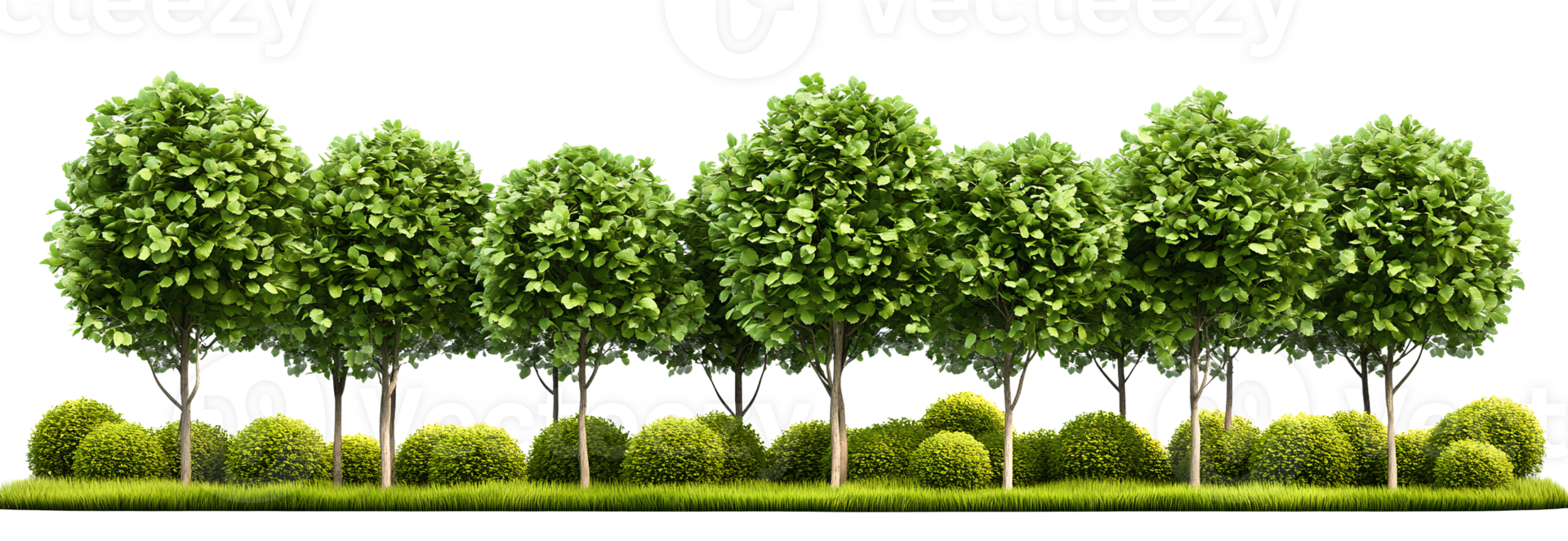Green trees and shrubs row on transparent background png