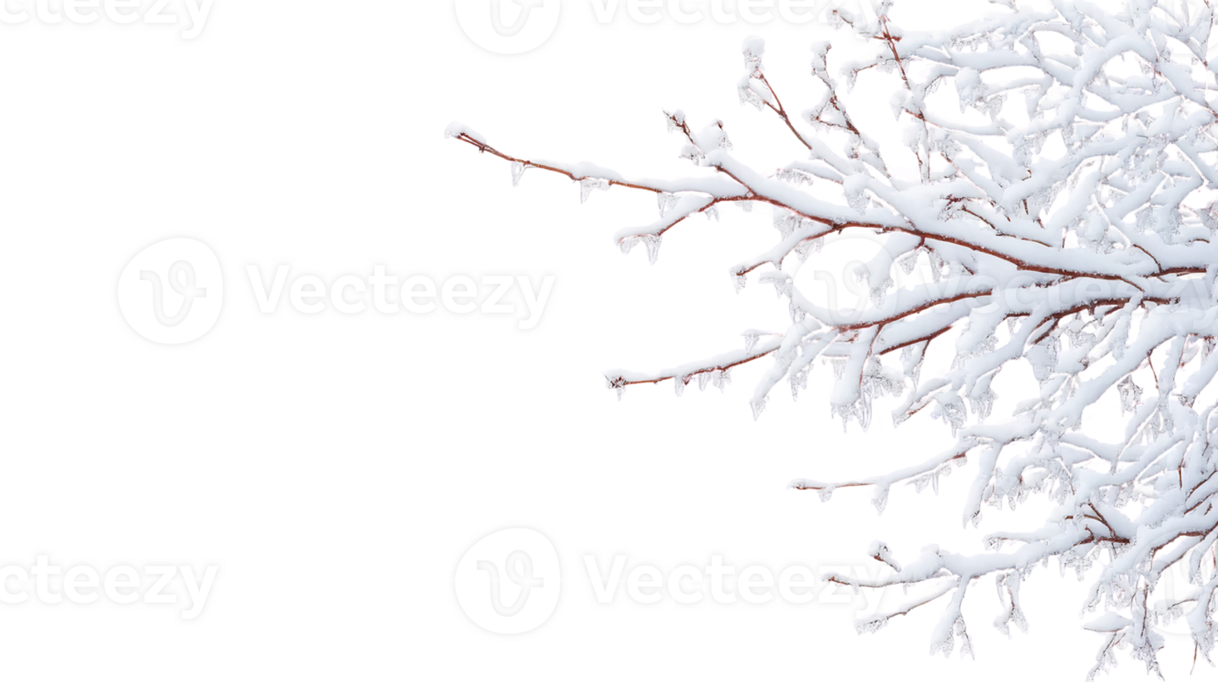 Snow covered branches with icicles on transparent background png
