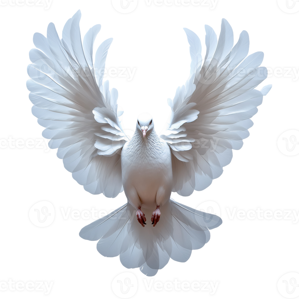 Peaceful White Dove Mid-Flight on Transparent Background png