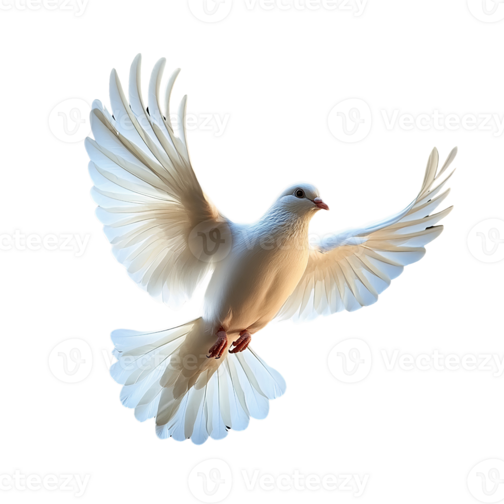 Elegant Dove Gliding Through Air on Transparent Background png