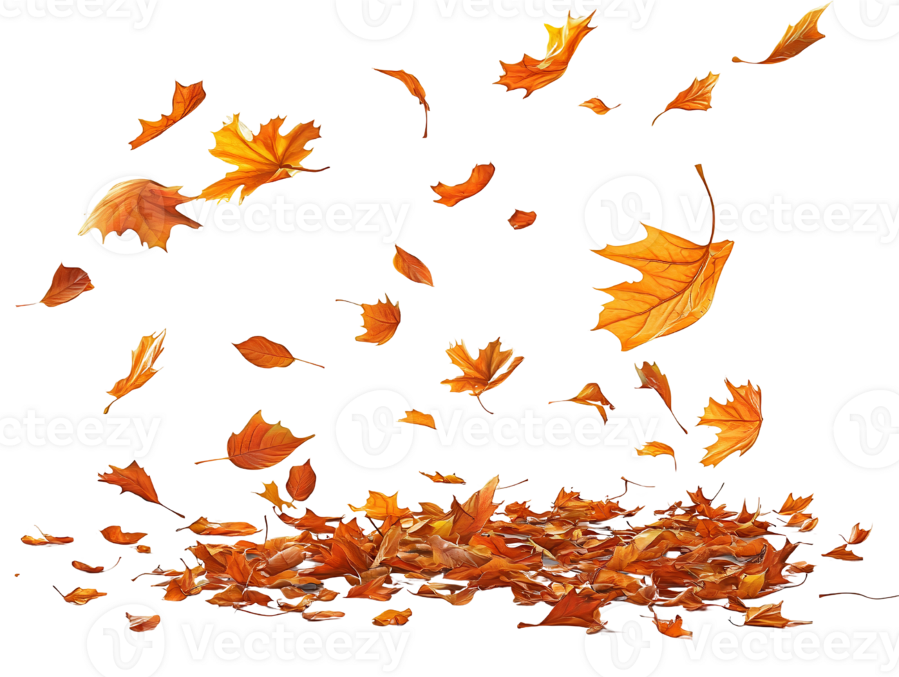 Falling autumn leaves on transparent background png