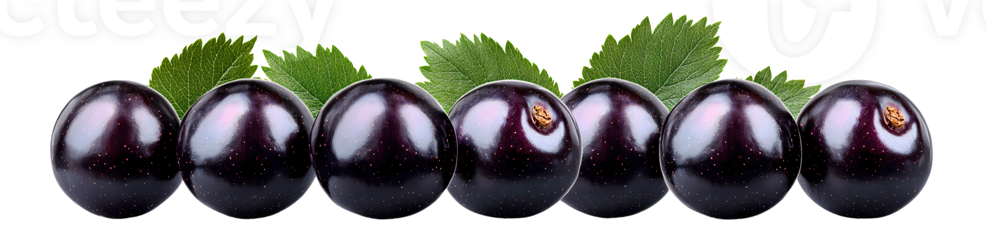 Black currants with leaves on transparent background png