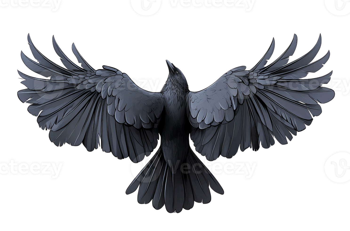 Dark raven with spread wings on transparent background png