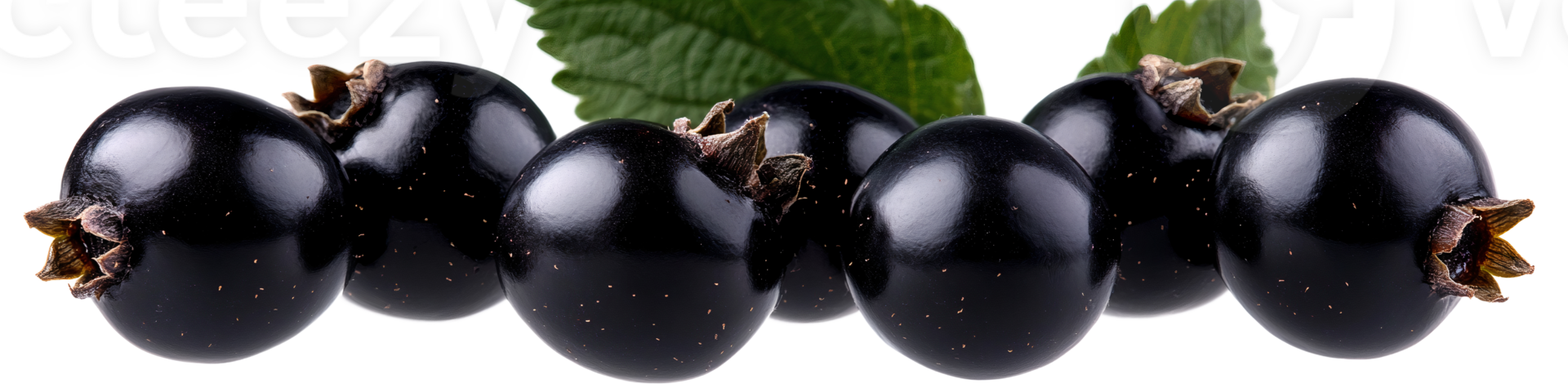 Black currants with leaf on transparent background png