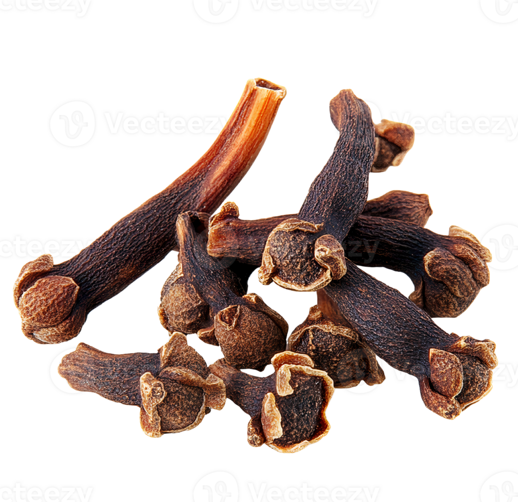 Dried cloves spice isolated on transparent background png