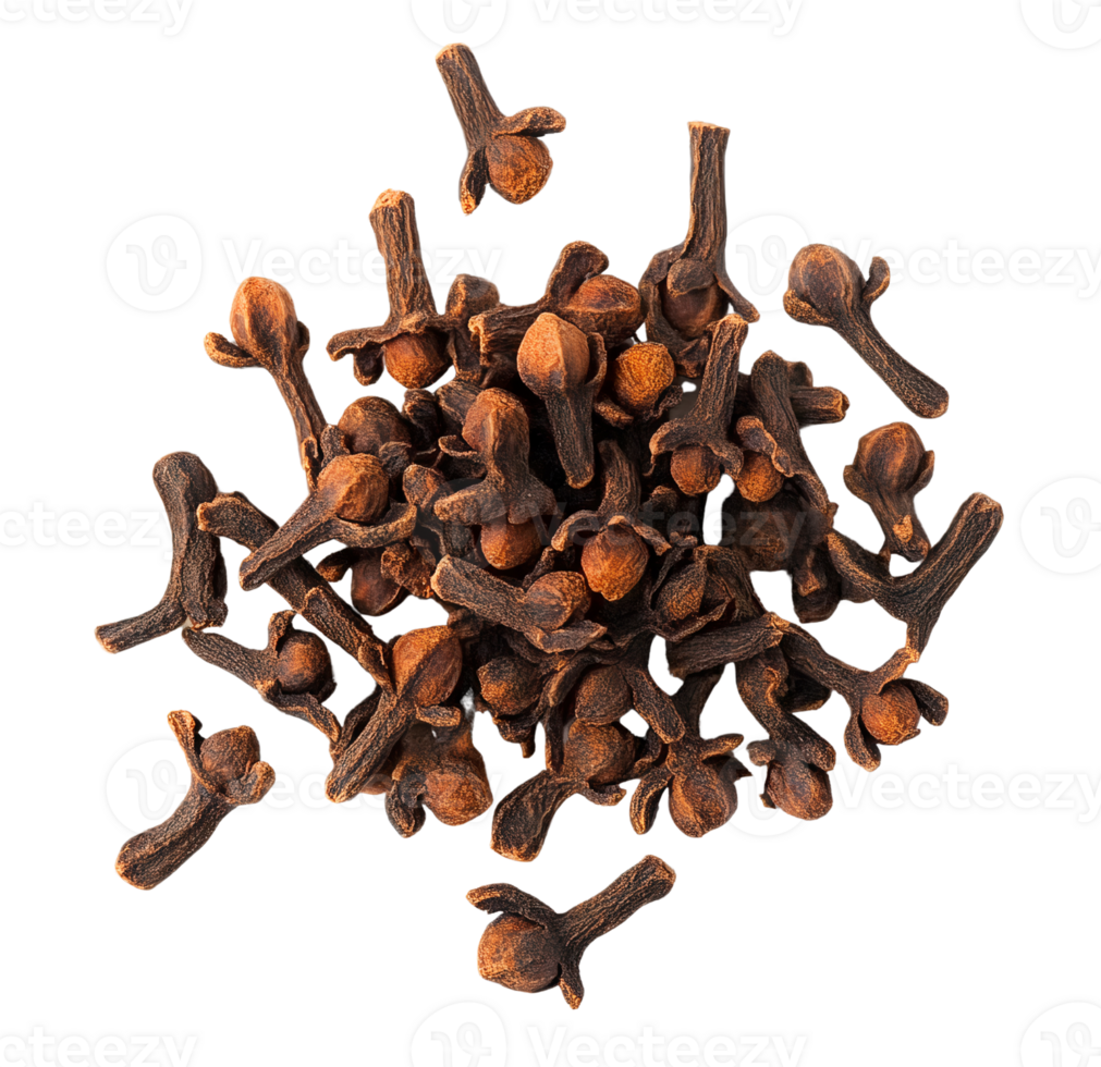 Dried cloves spice pile on transparent background png