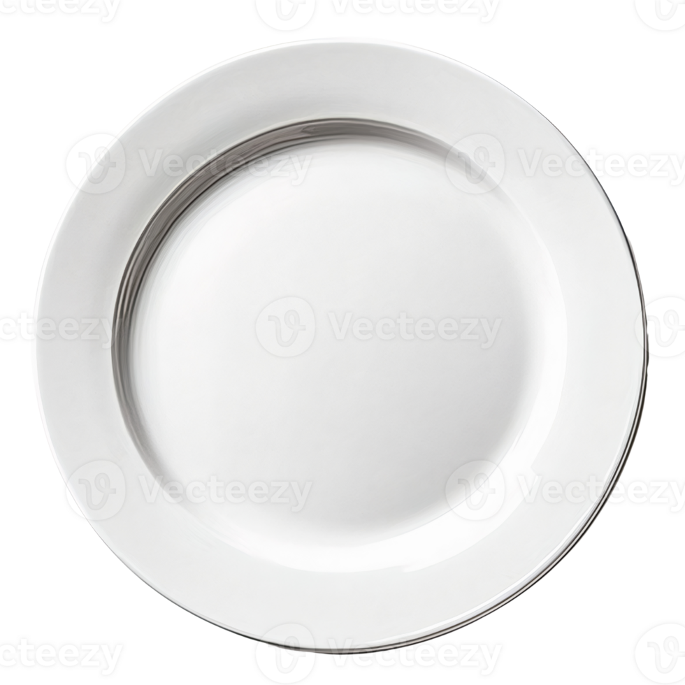 White round porcelain dinner plate with gray rim isolated on black png