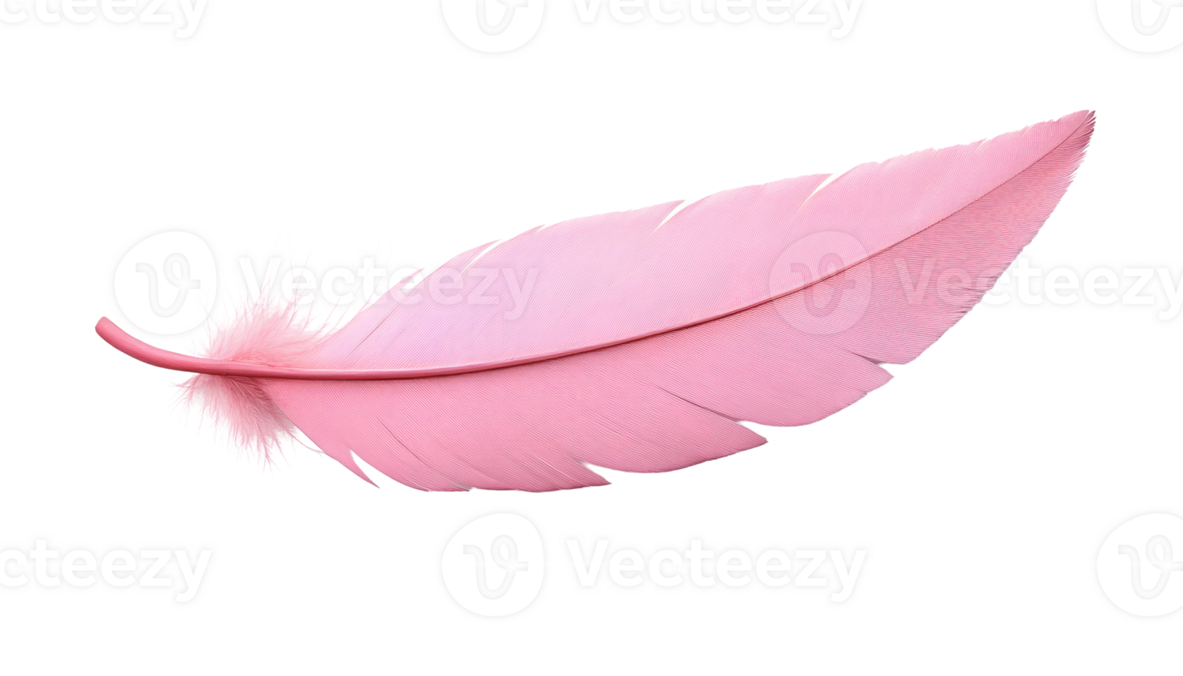 Pink feather on transparent background isolated png