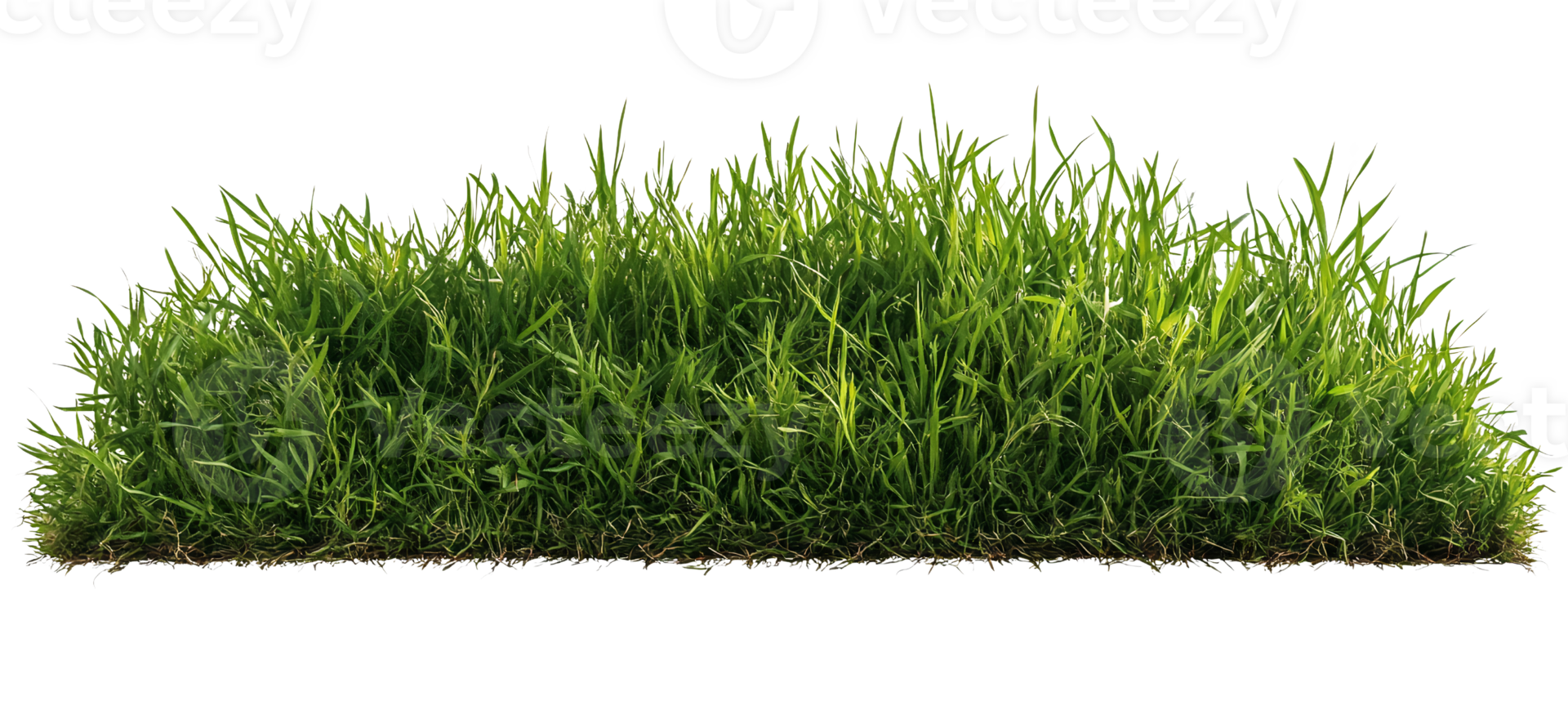 Green grass patch on transparent background png
