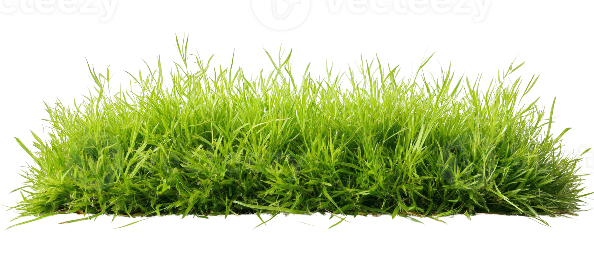 Green grass patch isolated on transparent background png