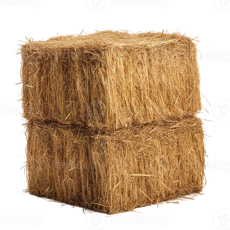 Hay bale stack isolated on Transparent Background png