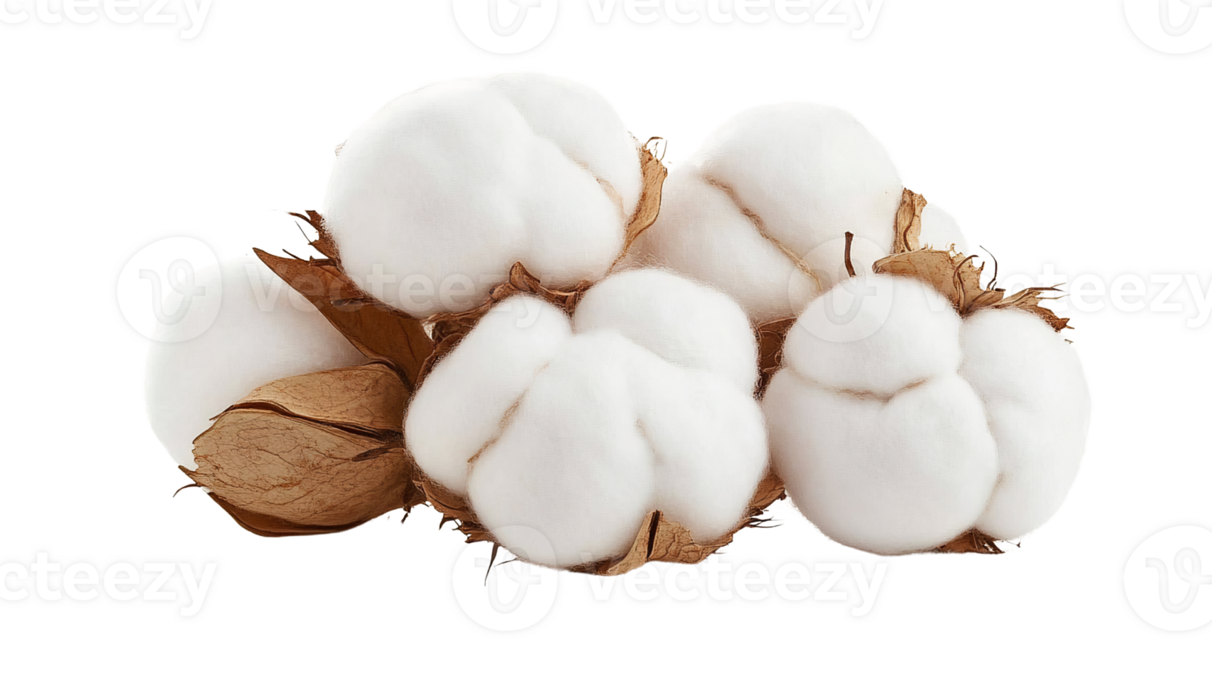 Fluffy cotton balls on transparent background png