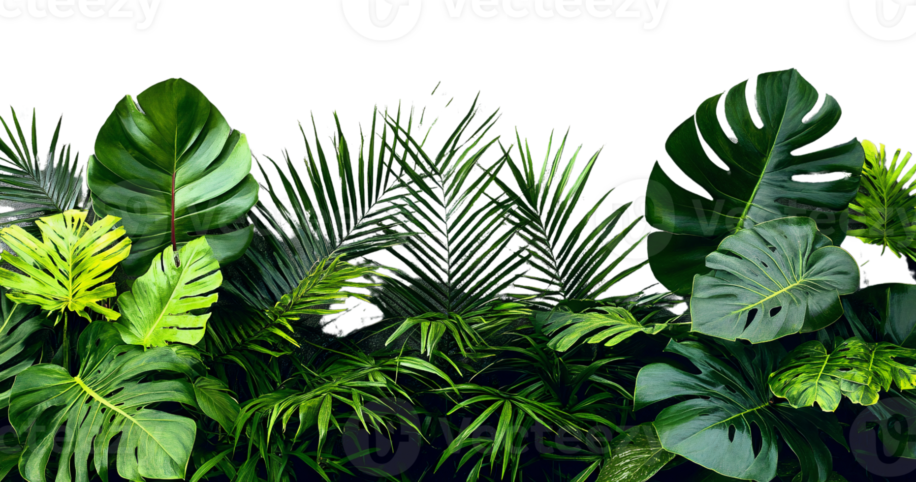 Tropical lush greenery leaves on transparent background png